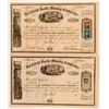 Image 1 : Rockdale Gold Mining Company Stock Certificate Pair  (91873)