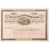 Image 1 : Iron Hill Consolidated Mining Company Stock Certificate  (91550)
