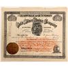 Image 1 : Leadville & Gunnison Gold & Silver Mining Co. Stock Certificate  (102507)