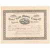 Image 1 : Lions' Gold Mining Company Stock Certificate  (91814)