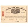 Image 1 : Chenango Silver MIning Company of Colorado  (104738)