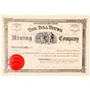 Image 1 : Bill Young Mining Company Stock Certificate  (91560)