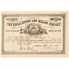 Image 1 : Hecla Mining & Milling Co. Stock Certificate  (91741)