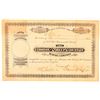 Image 1 : Boston & Sheep Mountain Mining Company Stock Certificate  (91564)