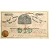 Image 1 : Holy Cross Mountain Cons. Mining Co. Stock Certificate  (102495)