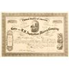 Image 1 : Cuba and U. S. Asphaltum Mining Company Stock  (81930)