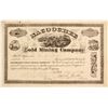 Image 1 : Nacoochee Gold Mining Company Stock  (81960)