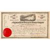 Image 1 : Beaver Head Hydraulic Mining Co. Stock Certificate  (100952)