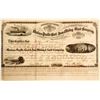 Image 1 : Mexican Pacific Coal & Iron, Mining & Land Company Stock  (81945)