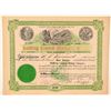 Image 1 : Bullfrog Central Mining Company Stock Signed by Wingfield  (101584)
