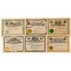 Image 1 : Six Different Cherry Creek, Nevada Mining Stock Certificates  (102163)