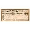 Image 1 : Senator Silver Mining Company Stock Certificate  (100730)