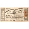 Image 1 : Buckeye Gold and Silver MIning Company Stock  (91898)
