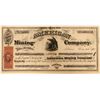 Image 1 : American Mining Company Stock  (91944)