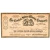 Image 1 : Central Silver Mining Co. Stock Signed by Sherwood (GT Brown Lith.)  (100729)