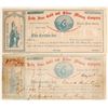 Image 1 : Lady Jane Gold and Silver Mining Company Stock  (82023)