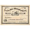 Image 1 : Tenabo Mill & Mining Co. Stock Certificate Signed by S. Wenban  (91544)