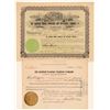 Image 1 : Two Goldfield Stock Selling Co. Stock Certificates  (102539)