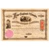 Image 1 : New England & Nevada Silver Mining Co. Stock Certificate  (91857)