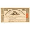 Image 1 : Reese River Consolidated Company Stock Certificate  (100723)