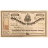 Image 1 : Marie Muller Gold and Silver Mining Company Stock  (91941)