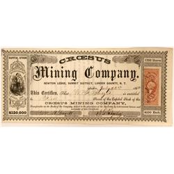 Croesus Mining Company  (91905)