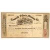 Image 1 : Randall Silver Mining Company (Nevada) Stock  (91911)