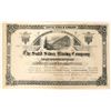 Image 1 : Solid Silver Mining Company Stock  (90542)