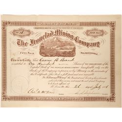 Ironclad Mining Company Stock  (90550)
