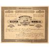 Image 1 : Montezuma Silver Mining Company, New Mexico Stock  (91881)