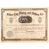 Image 1 : Silver City Mining and Milling Co. stock  (82350)