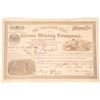 Image 1 : Treasure Hill Silver MIning Company Stock  (90541)
