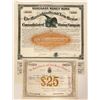 Image 1 : Massachusetts and New Mexico Mining Company Stock and Bond  (91883)