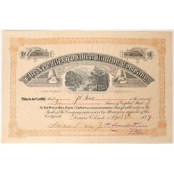 New Mexico Mica Mining Company Stock  (90545)