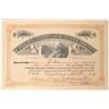 Image 1 : New Mexico Mica Mining Company Stock  (90545)