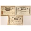 Image 1 : New Mexico Mining Company Stock Collection  (90531)