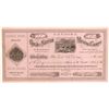 Image 1 : Pandora Gold & Silver MIning Company Stock  (91976)