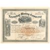 Image 1 : Noonday Mining CompanY Stock  (91974)