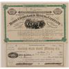 Image 1 : Two Early Black Hills, Dakota Territory Mining Stocks  (100858)