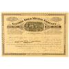 Image 1 : Salmon Mining Co. Stock Certificate, Black Hills, South Dakota  (100779)