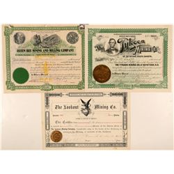 Three Dakota Stocks  (91678)