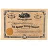 Image 1 : Fish Springs Mining Company Stock Certificate  (100789)
