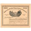 Image 1 : Anderson Double Water Column Pump Co. Stock Certificate  (100833)