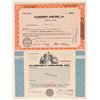 Image 1 : Allegheny Airlines Stocks  (101475)