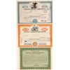 Image 1 : Bellanca Aircraft Corporation Stock Certificates  (103393)