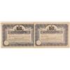 Image 1 : Hornell Airways, Inc. Stock Certificates  (102626)