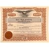 Image 1 : Love Field Company Stock Certificate  (102550)
