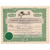 Image 1 : Midwest Aircraft Corporation Stock Certificate  (102574)