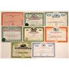 Image 1 : Miscellaneous Air Stock Certificates  (103420)