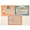Image 1 : American Motor Transportation Company Stocks with Great Vignettes  (91644)